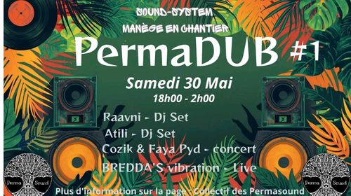 PermaDub #1