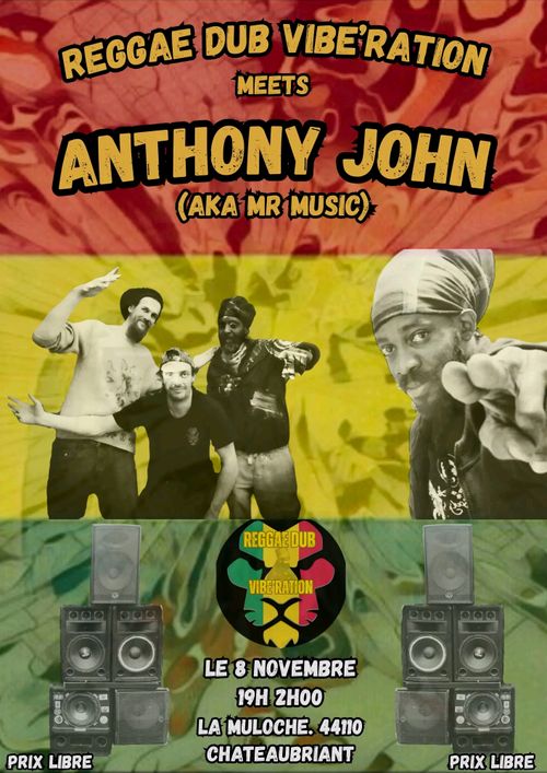 Reggae Dub Vibe'ration meets Anthony John